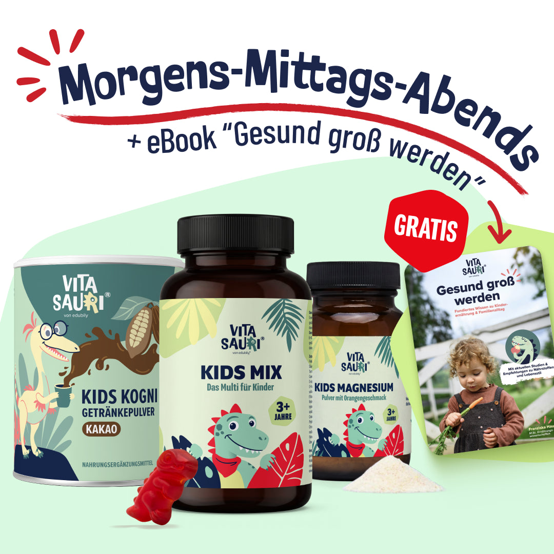 Morgens-Mittags-Abends-Bundle