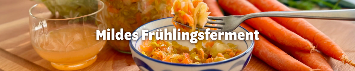 Mildes Frühlingsferment aus Spitzkohl und Möhren – fermentiertes Gemüse in einer blau-weißen Schüssel, aufgenommen mit einer Gabel, daneben frische Möhren und ein Glas Fermentflüssigkeit.