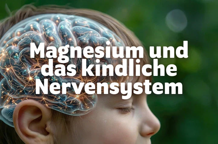 Magnesium und das Nervensystem: Warum dein Kind diesen Mineralstoff wirklich braucht