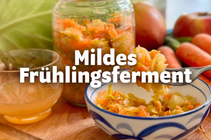 Mildes Ferment – Perfekt für Anfänger und Kinder