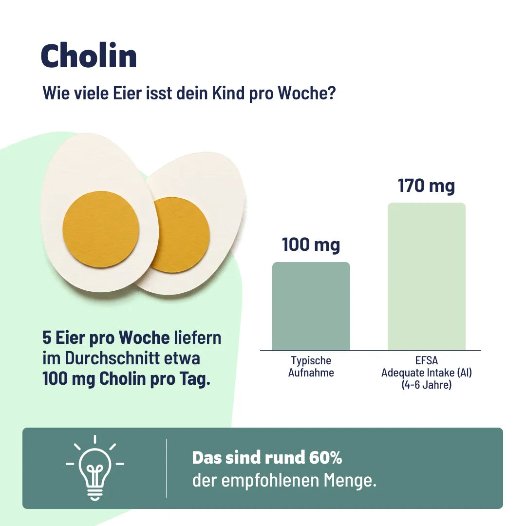 Starke Zähne Bundle