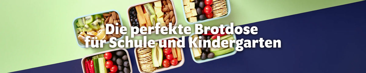 Bunte Brotdosen für Schule und Kindergarten mit Obst, Gemüse, Nüssen, Käse und Crackern
