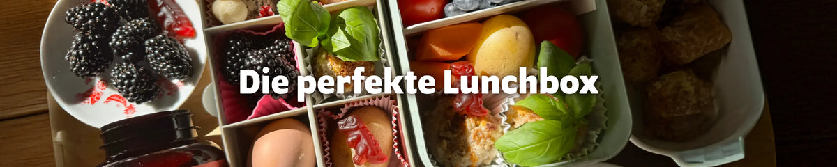 Gefüllte Lunchbox mit Beeren, Gemüse, Ei und verschiedenen gesunden Snacks