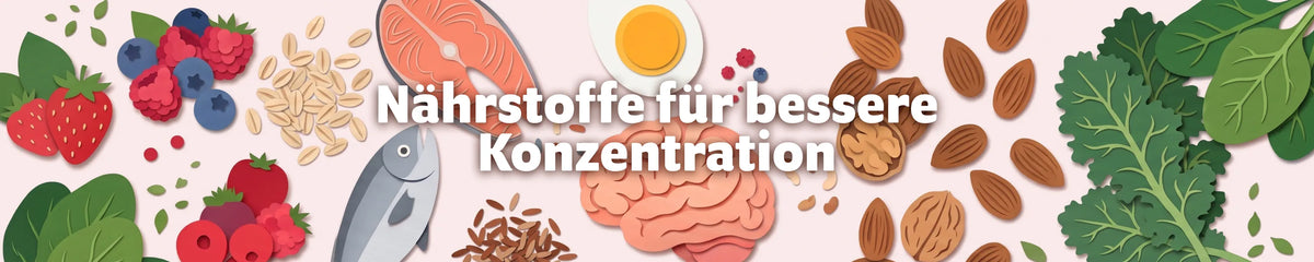 Illustration mit Gehirn, Fisch, Ei, Nüssen, Beeren, Haferflocken und grünem Gemüse zum Thema Nährstoffe für bessere Konzentration bei Kindern